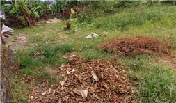 Chính chủ nhờ bán lô đất rộng thổ cư tại Tân Dân, An Lão, Hải Phòng 