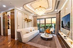 Chuyển nhượng lô góc CH - 08A dự án căn hộ siêu sang DiamondCrown Hải Phòng 