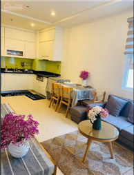 Cần cho thuê căn hộ 2 phòng ngủ SHP Plaza diện tích 61m2 giá cực rẻ !