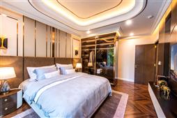 Chuyển nhượng lô góc CH - 08A dự án căn hộ siêu sang DiamondCrown Hải Phòng 